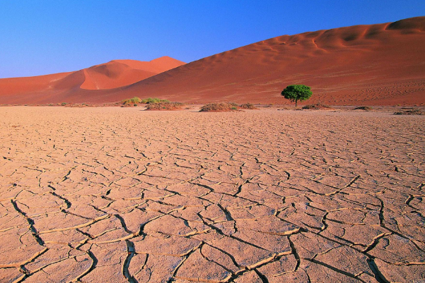 非洲干旱地区.png 非洲干旱地区.png