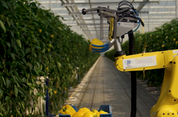 农业采摘机器人.png 农业采摘机器人.png